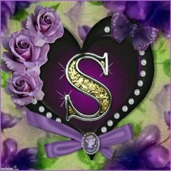 Meet your Posher, Shannelle - Picture 1 of 1